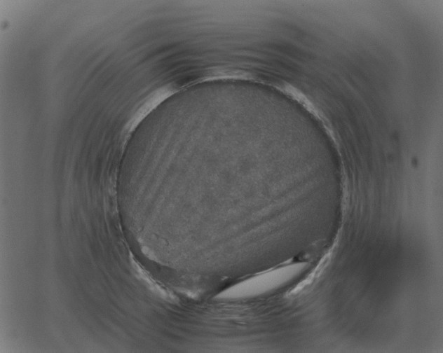 X0000067891137200604271820