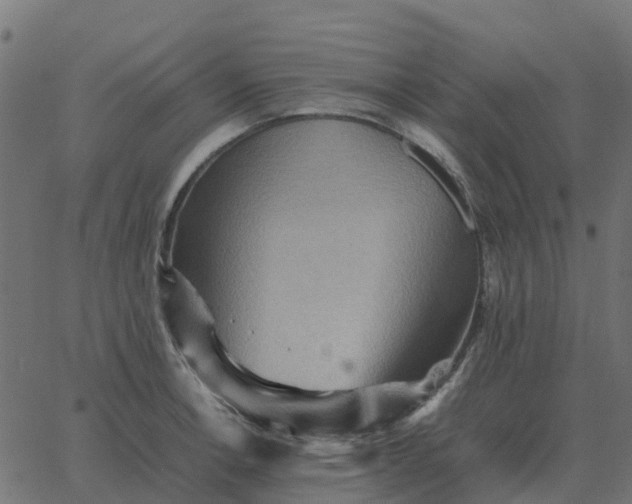 X0000067891138200604271820