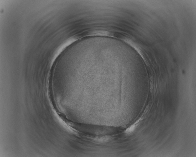 X0000067891139200604271820