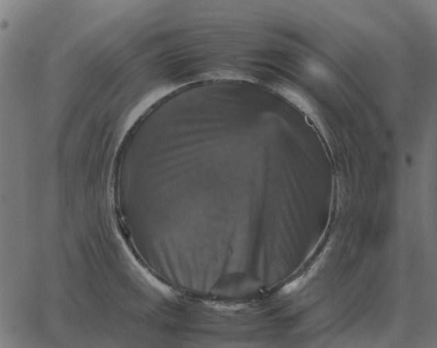 X0000067891141200604271820