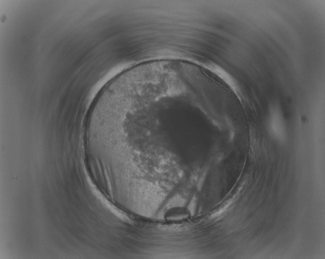 X0000067891142200604271820