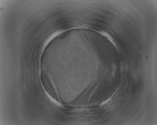 X0000067891143200604271820