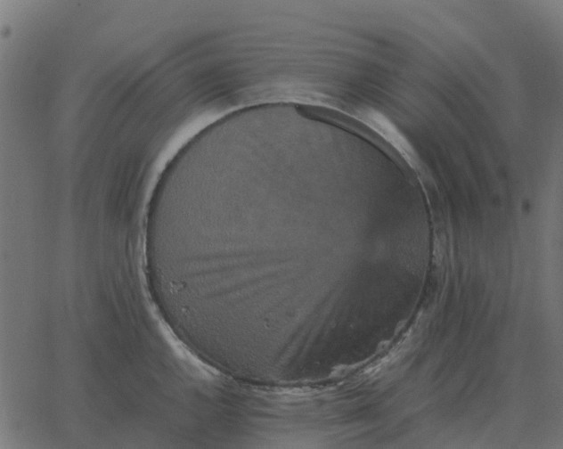 X0000067891144200604271820