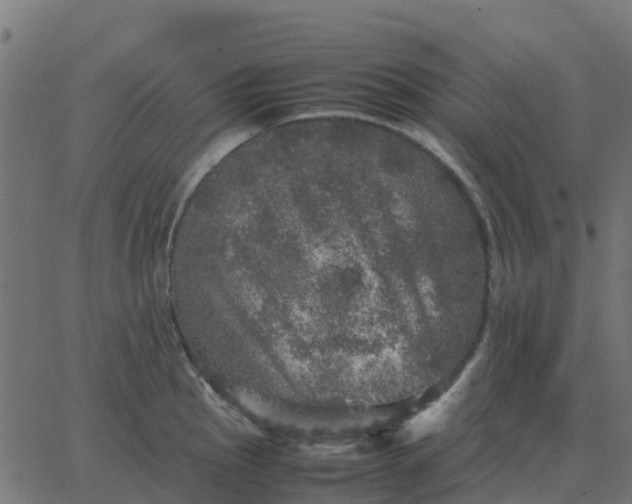 X0000067891145200604271820