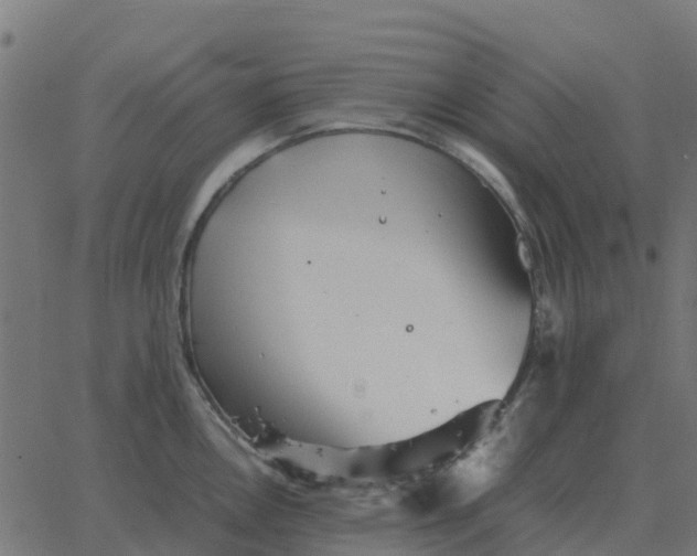 X0000067891146200604271820