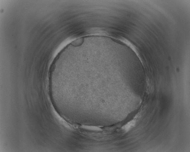 X0000067891147200604271820