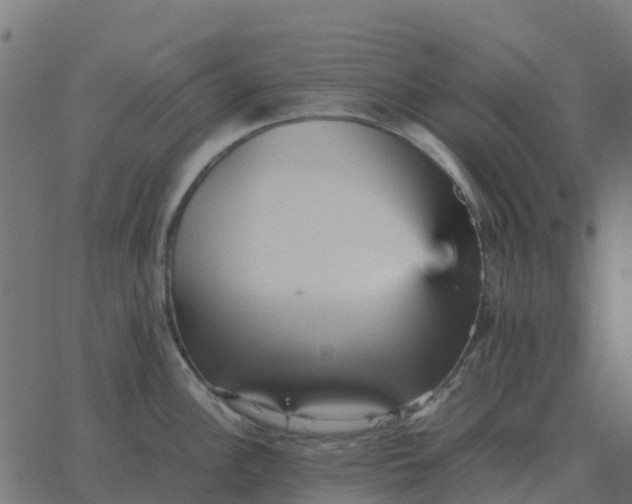 X0000067891148200604271820