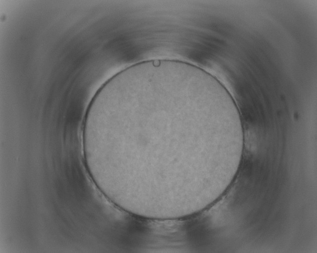 X0000067891150200604271820