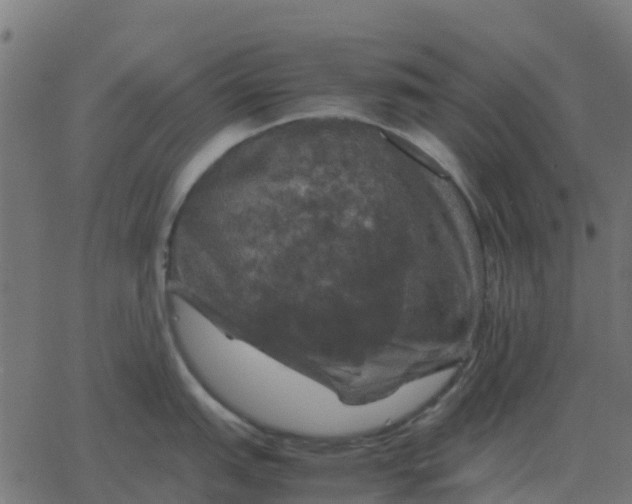 X0000067891151200604271820