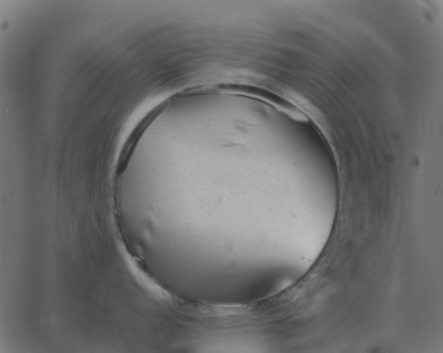 X0000067891152200604271820