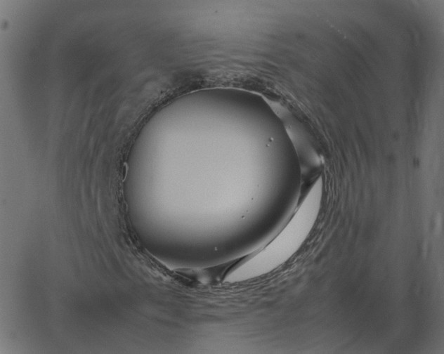 X0000067891153200604271819