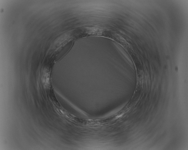 X0000067891154200604271819