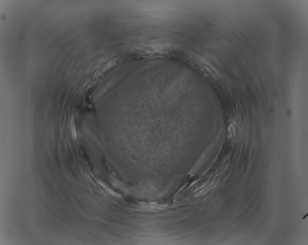 X0000067891156200604271819