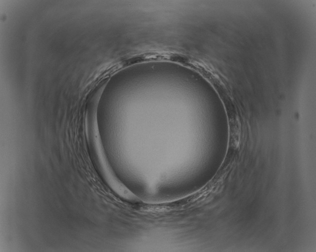 X0000067891157200604271819