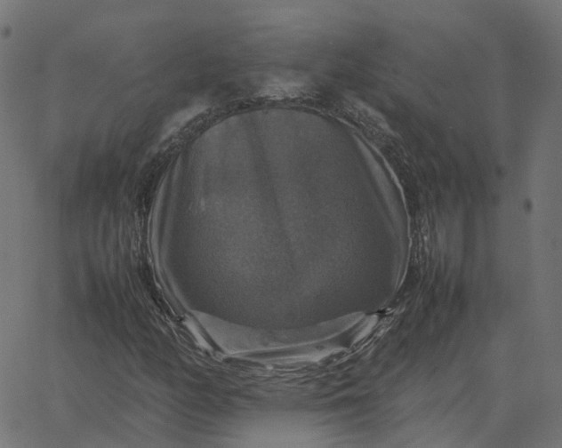 X0000067891158200604271819