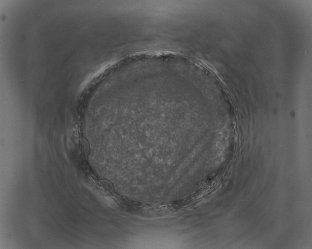 X0000067891159200604271819