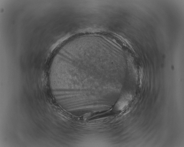 X0000067891160200604271819