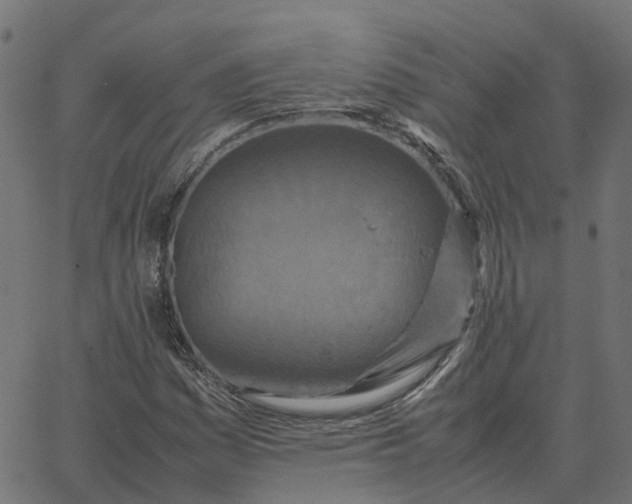 X0000067891161200604271819