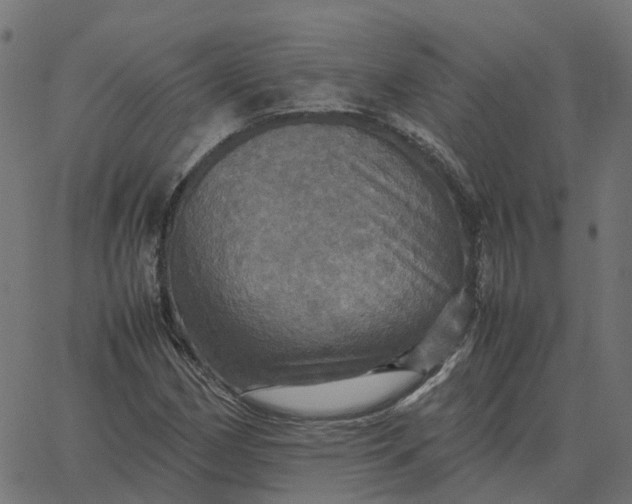 X0000067891162200604271819