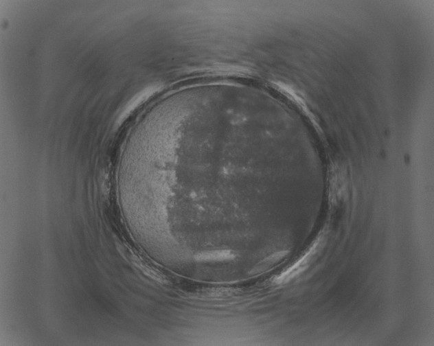 X0000067891163200604271819