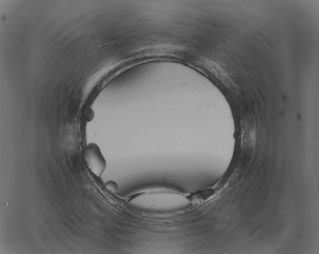 X0000067891164200604271819