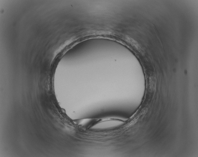 X0000067891165200604271819