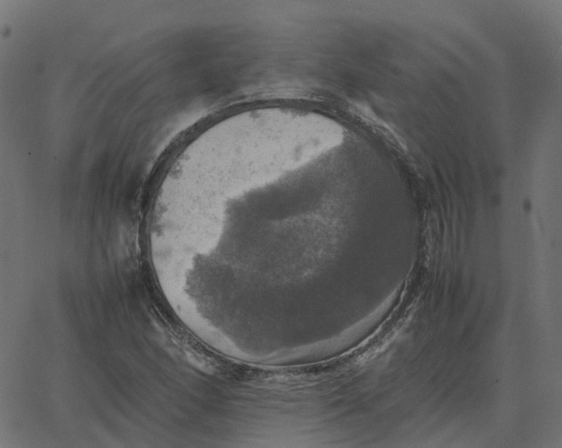 X0000067891166200604271819