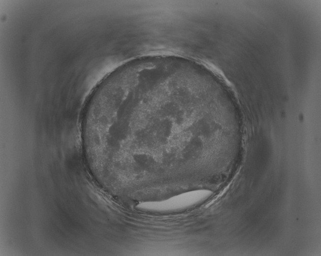 X0000067891167200604271819