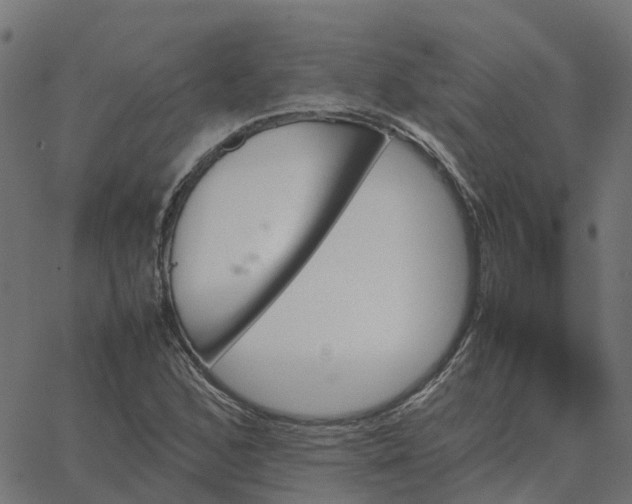 X0000067891168200604271819