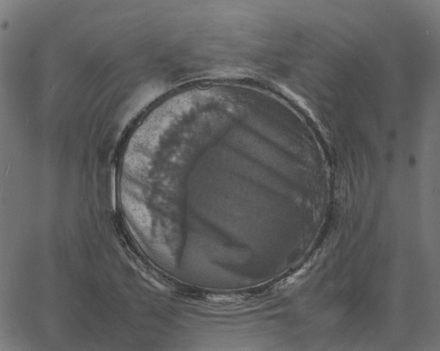 X0000067891171200604271819