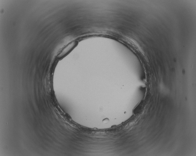 X0000067891172200604271819