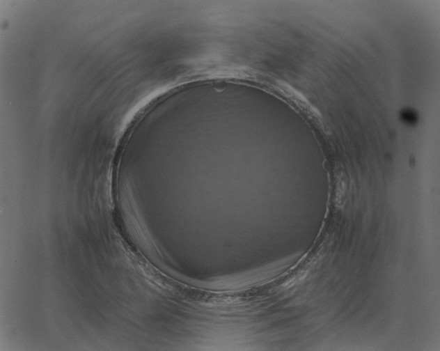 X0000067891174200604271819