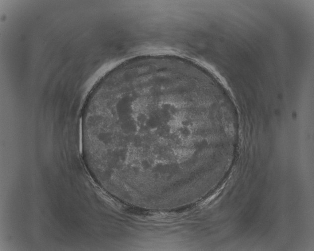 X0000067891175200604271819