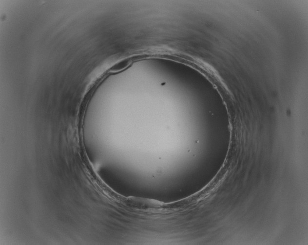 X0000067891176200604271819