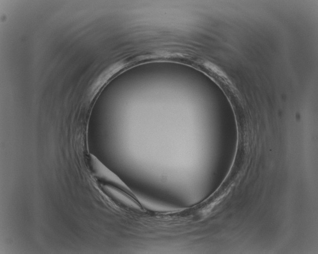 X0000067891177200604271819