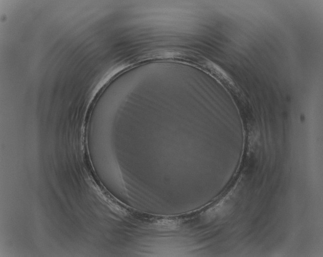 X0000067891178200604271819