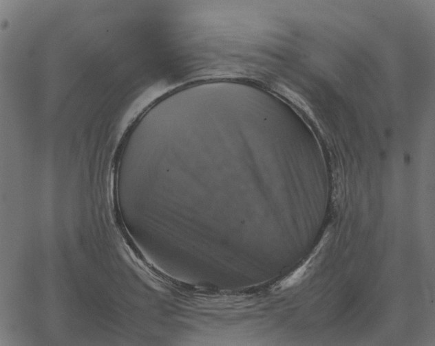 X0000067891179200604271819