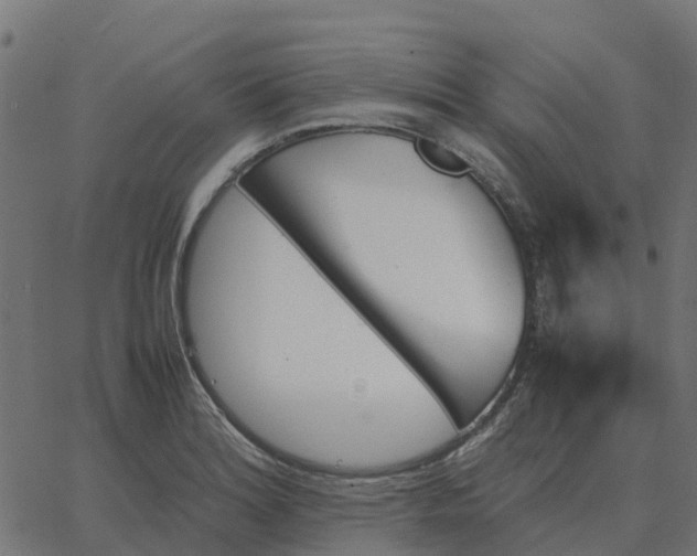 X0000067891180200604271819