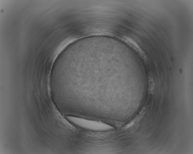 X0000067891182200604271819