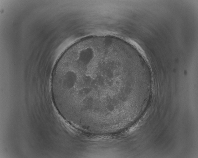 X0000067891183200604271819