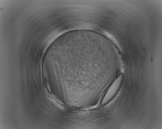 X0000067891184200604271818