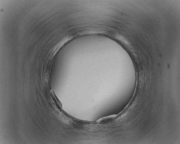 X0000067891185200604271818