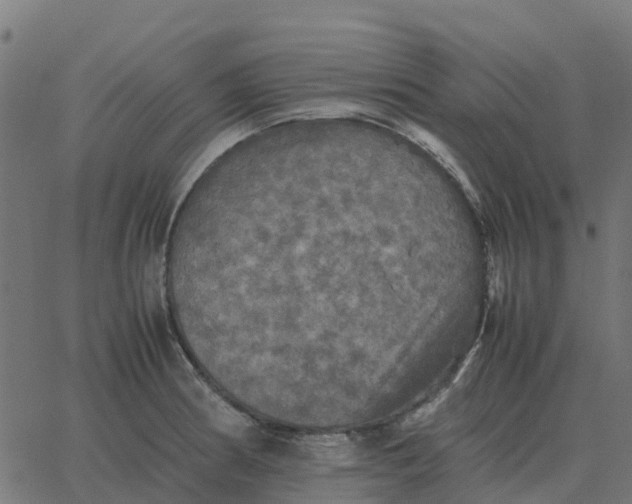 X0000067891186200604271818