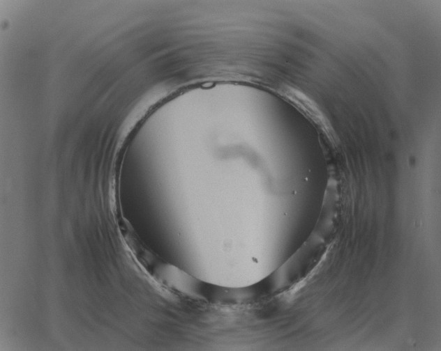 X0000067891188200604271818