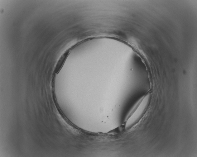 X0000067891189200604271818