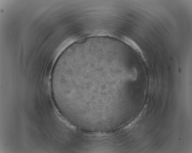 X0000067891190200604271818