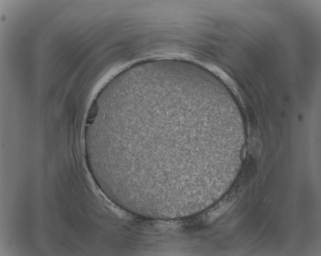 X0000067891191200604271818