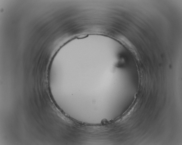 X0000067891192200604271818