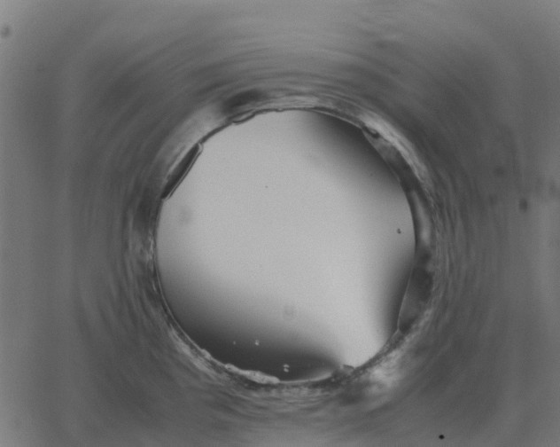 X0000067891193200604271818