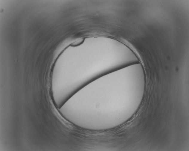 X0000067891195200604271818